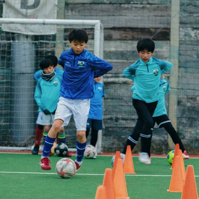 トレーニング開始