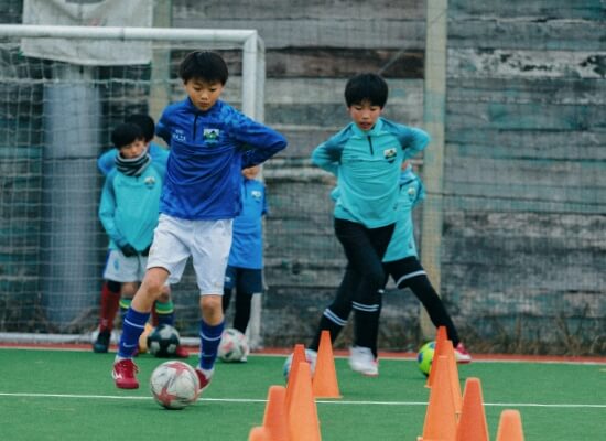 トレーニング開始